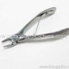 Dental Extraction Forceps For Veterinary Use 2 Size Available-0 Dental Extraction Forceps For Veterinary Use 2 Size Available
