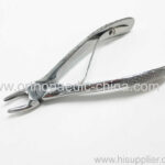 Dental Extraction Forceps For Veterinary Use 2 Size Available