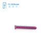 2.4mm ALPS Locking Screws Veterinary Orthopaedic Implants-0 2.4mm ALPS Locking Screws Veterinary Orthopaedic Implants