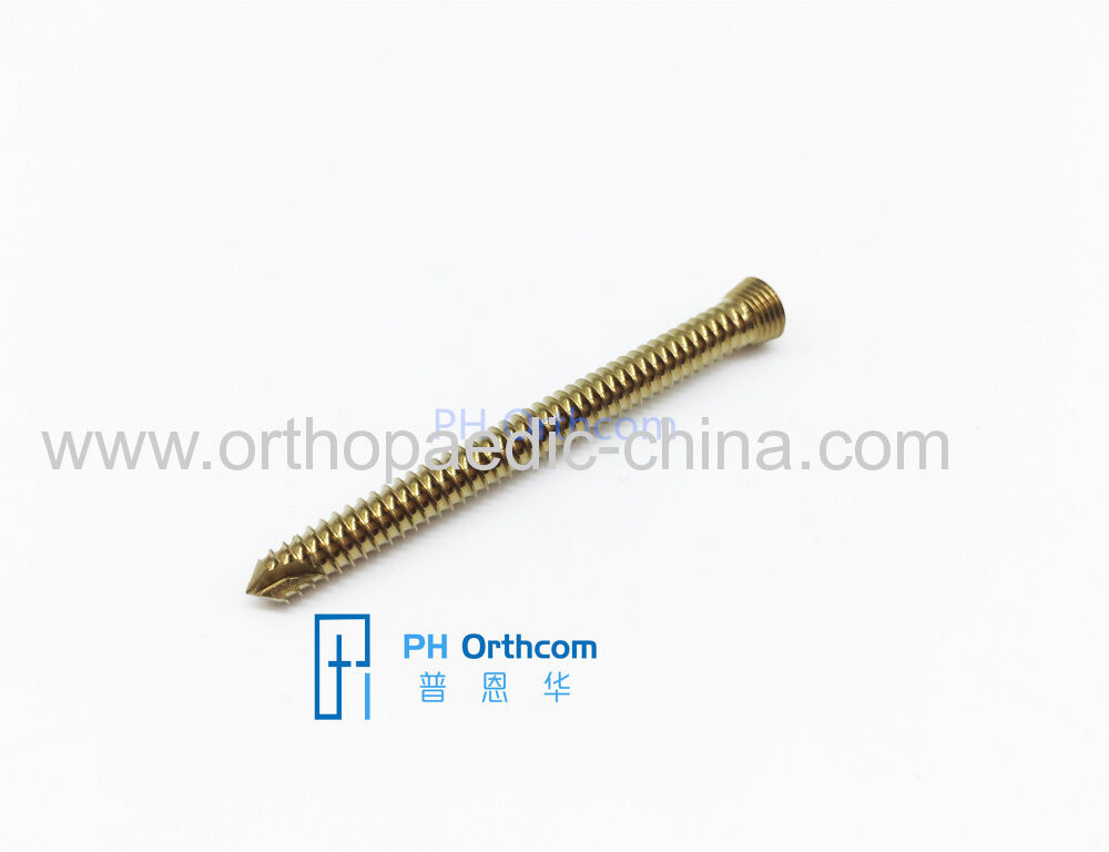 5.0mm Titanium Locking Screw Stardriver Head Titanium Locking Screw Orthopedic Traumatalogy Implant