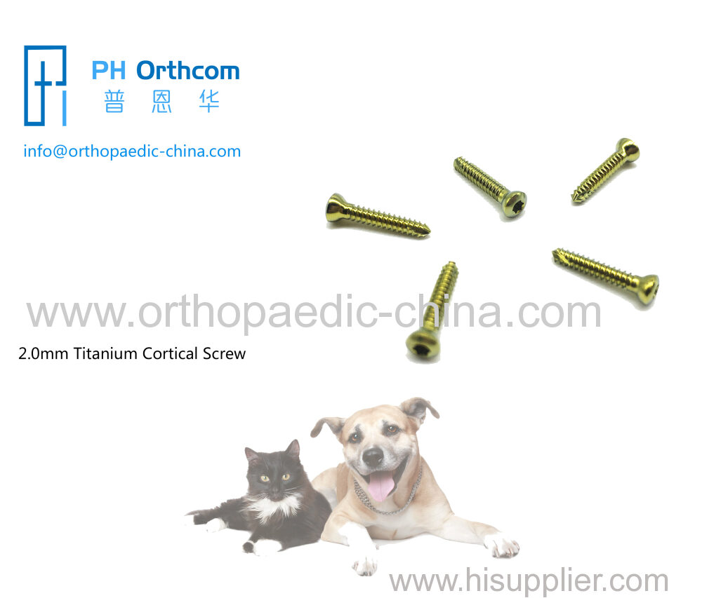 2.0mm Titanium Cortical Stardrive Screw For Veterinary Use-0 2.0mm Titanium Cortical Stardrive Screw For Veterinary Use