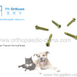 2.0mm Titanium Cortical Stardrive Screw For Veterinary Use