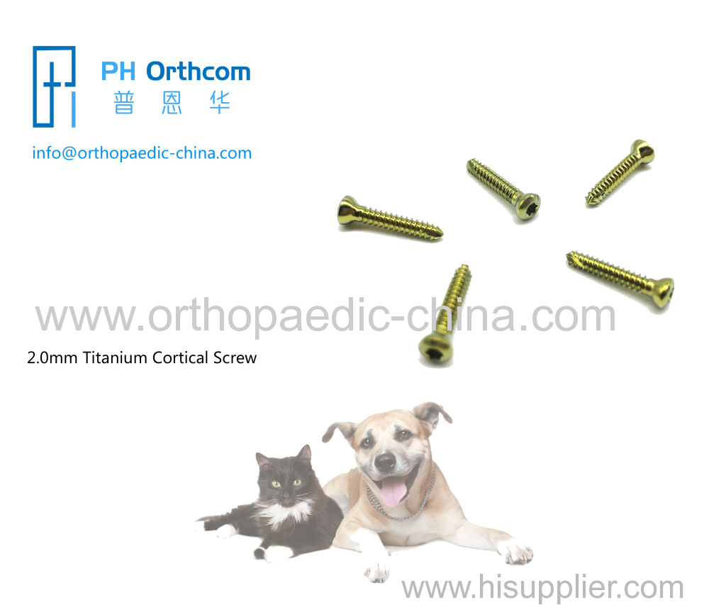 2.0mm Titanium Cortical Stardrive Screw For Veterinary Use