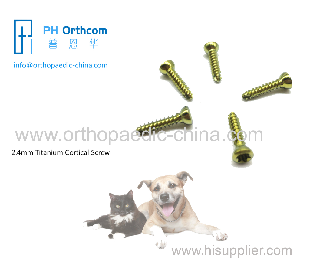 2.4mm Titanium Cortical Stardrive Screw For Veterinary-0 2.4mm Titanium Cortical Stardrive Screw For Veterinary