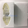 Feline Clear Jaw Model For Veterinary Education And Practice Use Small Animal Veterinary Teaching Models-4 Feline Clear Jaw Model For Veterinary Education And Practice Use Small Animal Veterinary Teaching Models