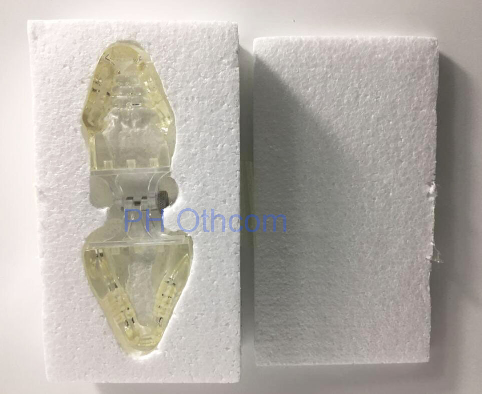 Feline Clear Jaw Model For Veterinary Education And Practice Use Small Animal Veterinary Teaching Models-4 Feline Clear Jaw Model For Veterinary Education And Practice Use Small Animal Veterinary Teaching Models